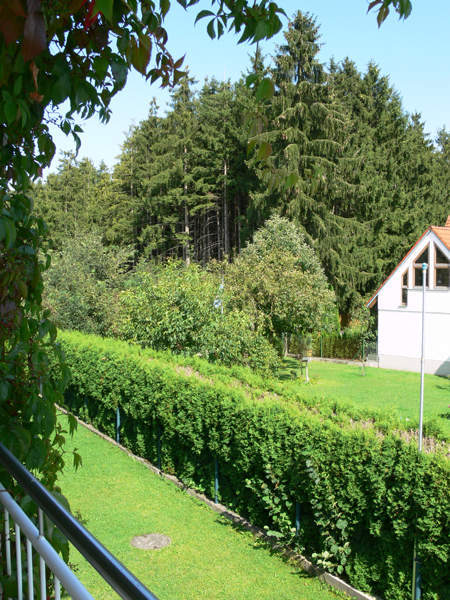 Aussicht vom Balkon