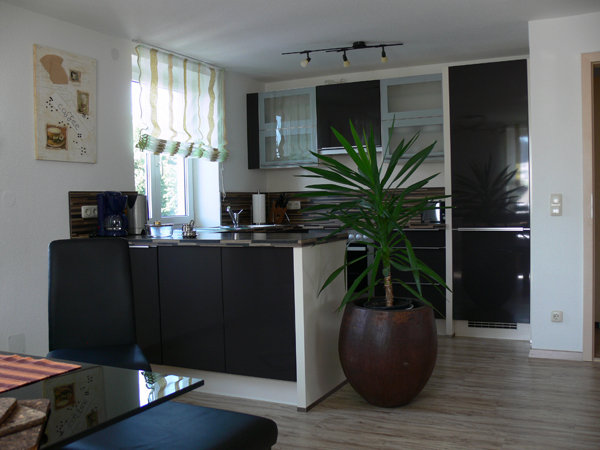Küche mit Kühlschrank, Backofen und Kochfeld